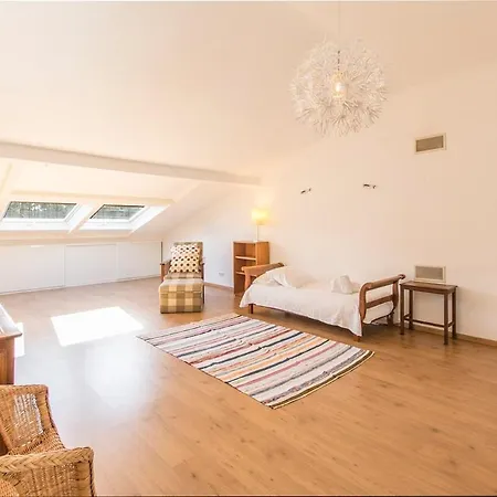 Goreti Aroeira (Setubal)